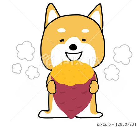 ほかほかな焼き芋を美味しそうに食べるしばいぬ 129307231