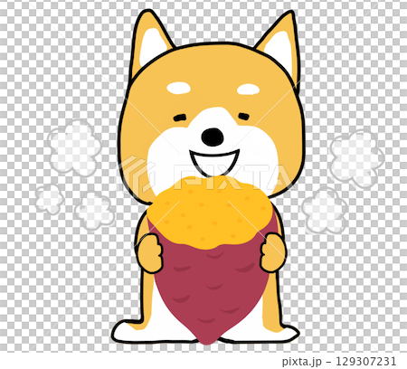 Shiba Inu eating hot roasted sweet potato with relish Shiba Inu eating hot roasted sweet potato with relish 129307231