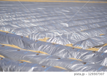 作付け前の畑 作付け前の畑 129307307