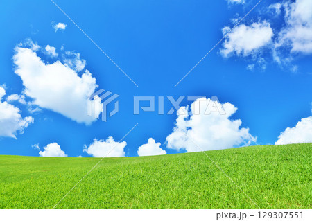 爽やかな夏の青空と新緑の草原風景 129307551
