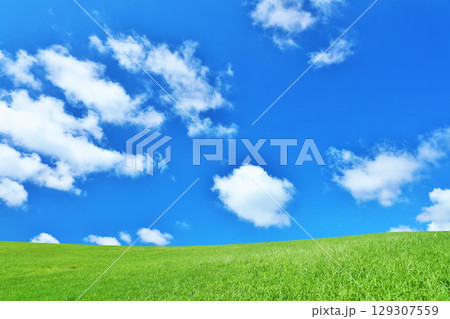 爽やかな夏の青空と新緑の草原風景 爽やかな夏の青空と新緑の草原風景 129307559