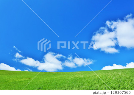 爽やかな夏の青空と新緑の草原風景 129307560