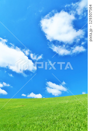 爽やかな夏の青空と新緑の草原風景 129307564