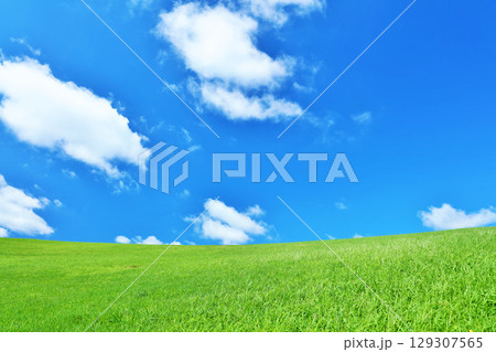 爽やかな夏の青空と新緑の草原風景 爽やかな夏の青空と新緑の草原風景 129307565