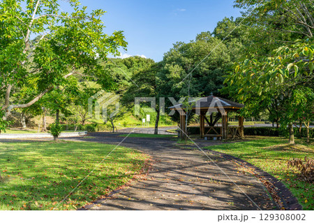 夕方の観音池公園 129308002