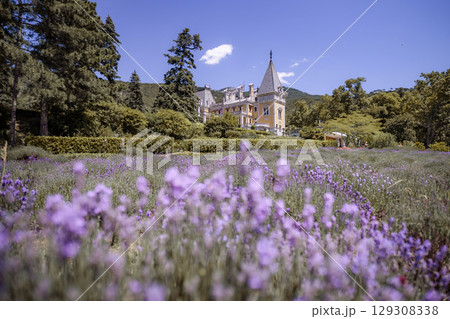 A beautiful garden with a yellow house in the background 129308338