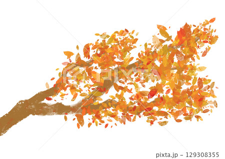 紅葉した木の枝 129308355