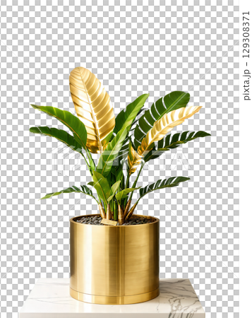 Zamioculcas in brushed brass planter, side lighting, gentle spin, professional product shot, transparent setting 129308371
