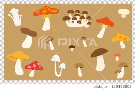 秋のキノコベクターイラストセット 129308802
