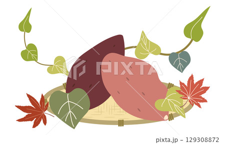 収穫したサツマイモのイラスト 129308872