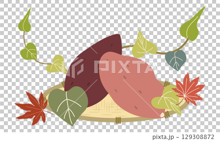 收穫的紅薯的插圖 129308872