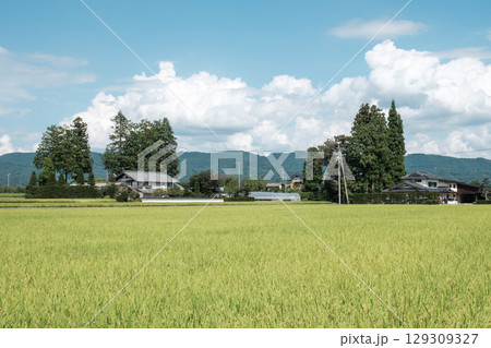 夏の田舎風景 夏の田舎風景 129309327