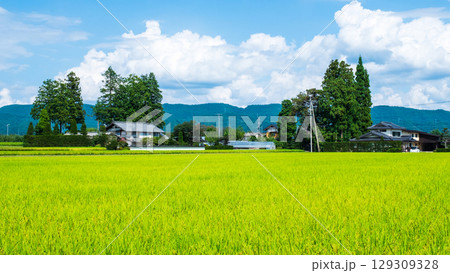夏の田舎風景 夏の田舎風景 129309328