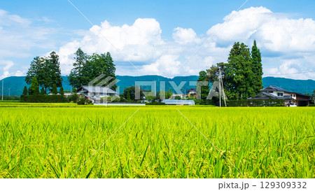 夏の田舎風景 夏の田舎風景 129309332
