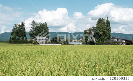 夏の田舎風景 129309333