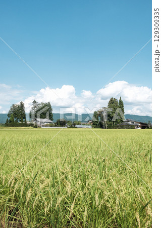 夏の田舎風景 夏の田舎風景 129309335