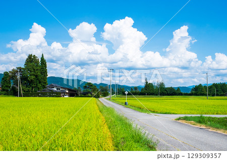 夏の田舎風景 129309357
