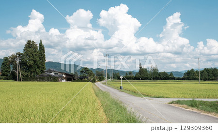 夏の田舎風景 夏の田舎風景 129309360
