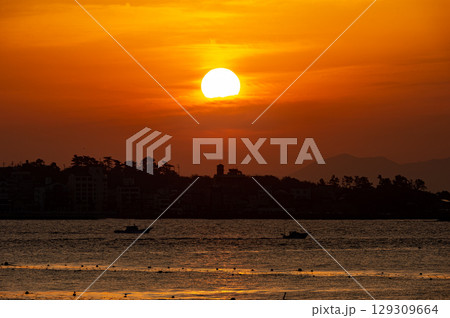 南知多から望む日の出 129309664