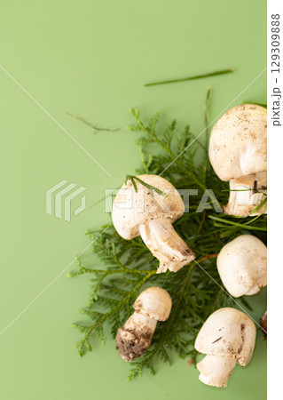 Champignon mushrooms for culinary purposes on green background Champignon mushrooms for culinary purposes on green background 129309888