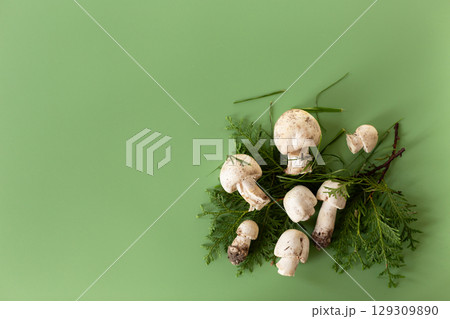 Fresh raw champignons isolated on green background 129309890