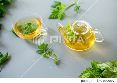 Herbal infusion of mint and currant on a gray background from above Herbal infusion of mint and currant on a gray background from above 129309905