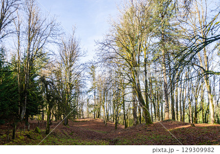 Countryside view of Mission, BC, Canada in the Autumn 129309982