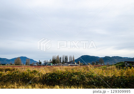 Agricultural farms in Fraser Valley, BC, Canada 129309995