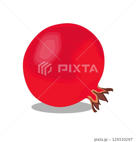 Vector illustration of whole and sliced pomegranate fruit in cartoon flat style. Punica granatum ripe fruit healthy food, agricultural product, isolated in white background. Red Garnet tropical fruit. Vector illustration of whole and sliced pomegranate fruit in cartoon flat style. Punica granatum ripe fruit healthy food, agricultural product, isolated in white background. Red Garnet tropical fruit. 129310297