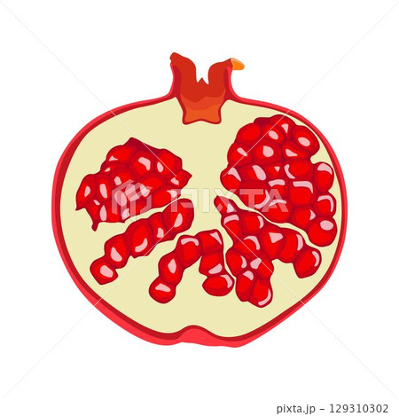 Vector illustration of whole and sliced pomegranate fruit in cartoon flat style. Punica granatum ripe fruit healthy food, agricultural product, isolated in white background. Red Garnet tropical fruit. 129310302
