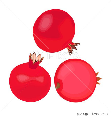 Vector illustration of whole and sliced pomegranate fruit in cartoon flat style. Punica granatum ripe fruit healthy food, agricultural product, isolated in white background. Red Garnet tropical fruit. 129310305