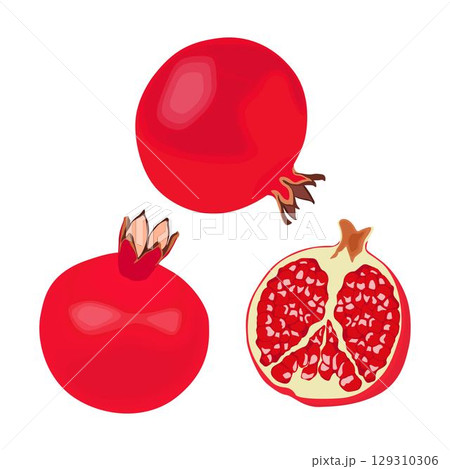 Vector illustration of whole and sliced pomegranate fruit in cartoon flat style. Punica granatum ripe fruit healthy food, agricultural product, isolated in white background. Red Garnet tropical fruit. 129310306