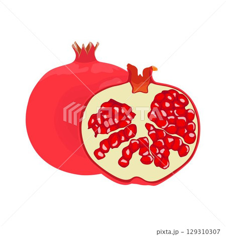 Vector illustration of whole and sliced pomegranate fruit in cartoon flat style. Punica granatum ripe fruit healthy food, agricultural product, isolated in white background. Red Garnet tropical fruit. 129310307