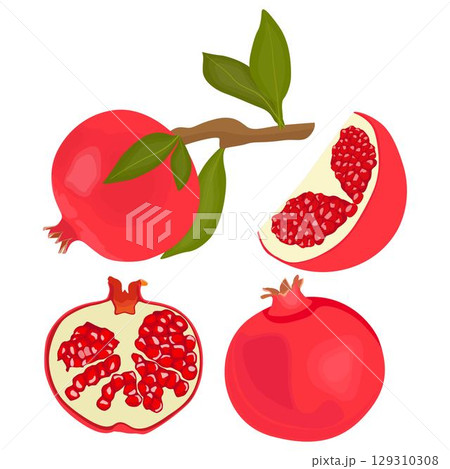 Vector illustration of whole and sliced pomegranate fruit in cartoon flat style. Punica granatum ripe fruit healthy food, agricultural product, isolated in white background. Red Garnet tropical fruit. 129310308