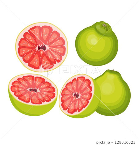 Vector illustration green and yellow pomelo in cartoon flat style. Pomelo orange tropical fruit isolated on white background, fresh food for diet, agricultural product, gardening farm 129310323