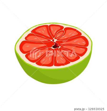 Vector illustration green and yellow pomelo in cartoon flat style. Pomelo orange tropical fruit isolated on white background, fresh food for diet, agricultural product, gardening farm Vector illustration green and yellow pomelo in cartoon flat style. Pomelo orange tropical fruit isolated on white background, fresh food for diet, agricultural product, gardening farm 129310325