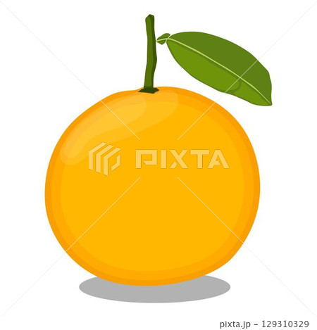 Vector illustration green and yellow pomelo in cartoon flat style. Pomelo orange tropical fruit isolated on white background, fresh food for diet, agricultural product, gardening farm 129310329