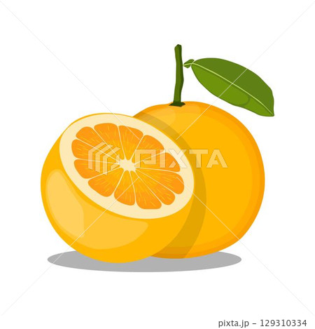 Vector illustration green and yellow pomelo in cartoon flat style. Pomelo orange tropical fruit isolated on white background, fresh food for diet, agricultural product, gardening farm 129310334
