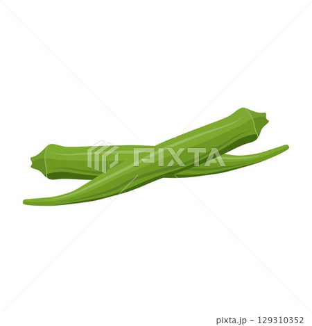 Vecktor illustration of Okra, Okura Okazu, ladyfinger, bamia or Bhindi. Fresh green vegetable, asian cooking ingredient. Whole and sclice. Healthy vegetarian food. Flat vector in cartoon style. Vecktor illustration of Okra, Okura Okazu, ladyfinger, bamia or Bhindi. Fresh green vegetable, asian cooking ingredient. Whole and sclice. Healthy vegetarian food. Flat vector in cartoon style. 129310352