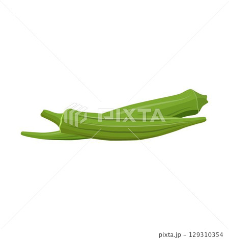 Vecktor illustration of Okra, Okura Okazu, ladyfinger, bamia or Bhindi. Fresh green vegetable, asian cooking ingredient. Whole and sclice. Healthy vegetarian food. Flat vector in cartoon style. 129310354