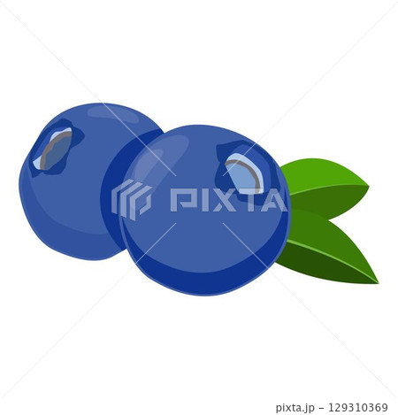 Vector illustration of fresh bluberry with leaves. Sweet fruit in blue color cartoon style isolated on white background Vector illustration of fresh bluberry with leaves. Sweet fruit in blue color cartoon style isolated on white background 129310369