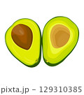 Vector illustration of avocado healthy fruit. Bright green whole fruit or vegetables, half, slices, with a large seed. Food for a healthy diet. 129310385