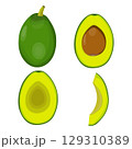 Vector illustration of fresh whole, half, cut slice avocado on white background. Summer fruits for healthy lifestyle. Organic fruit. Cartoon style. Vector illustration for digital resources 129310389