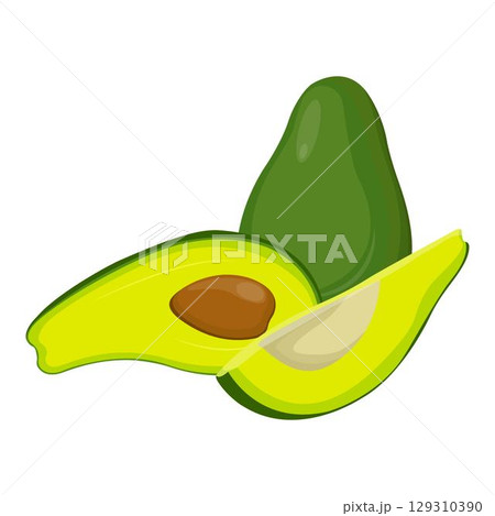 Vector illustration of fresh whole, half, cut slice avocado on white background. Summer fruits for healthy lifestyle. Organic fruit. Cartoon style. Vector illustration for digital resources 129310390