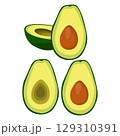Vector illustration of fresh whole, half, cut slice avocado on white background. Summer fruits for healthy lifestyle. Organic fruit. Cartoon style. Vector illustration for digital resources 129310391