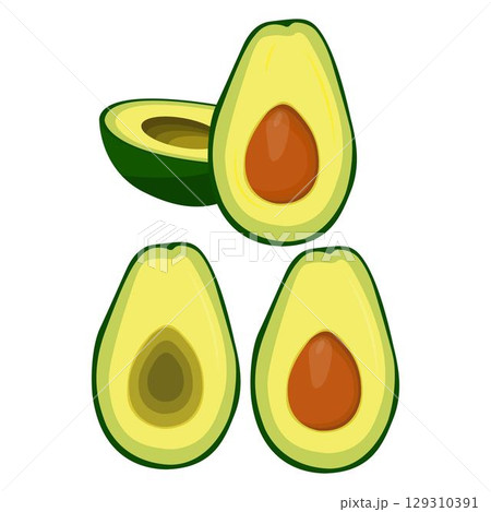 Vector illustration of fresh whole, half, cut slice avocado on white background. Summer fruits for healthy lifestyle. Organic fruit. Cartoon style. Vector illustration for digital resources 129310391