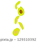 Vector illustration of fresh whole, half, cut slice avocado on white background. Summer fruits for healthy lifestyle. Organic fruit. Cartoon style. Vector illustration for digital resources 129310392