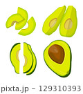 Vector illustration of fresh whole, half, cut slice avocado on white background. Summer fruits for healthy lifestyle. Organic fruit. Cartoon style. Vector illustration for digital resources 129310393