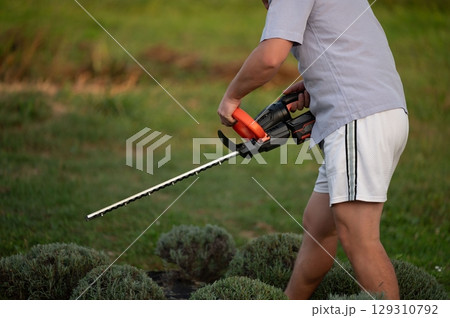 Man trimming bushes in a yard with a hedge trimmer. Taking care of the landscaping and outdoor maintenance on a sunny day. Man trimming bushes in a yard with a hedge trimmer. Taking care of the landscaping and outdoor maintenance on a sunny day. 129310792