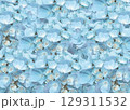 涼しげな水色のあじさい背景テクスチャ 129311532